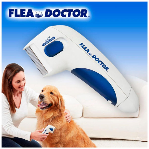 FLEA DOCTOR