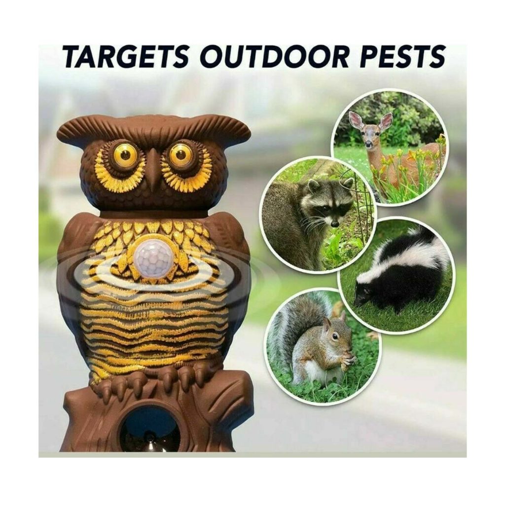 OWL ALERT Best Of As Seen On TV