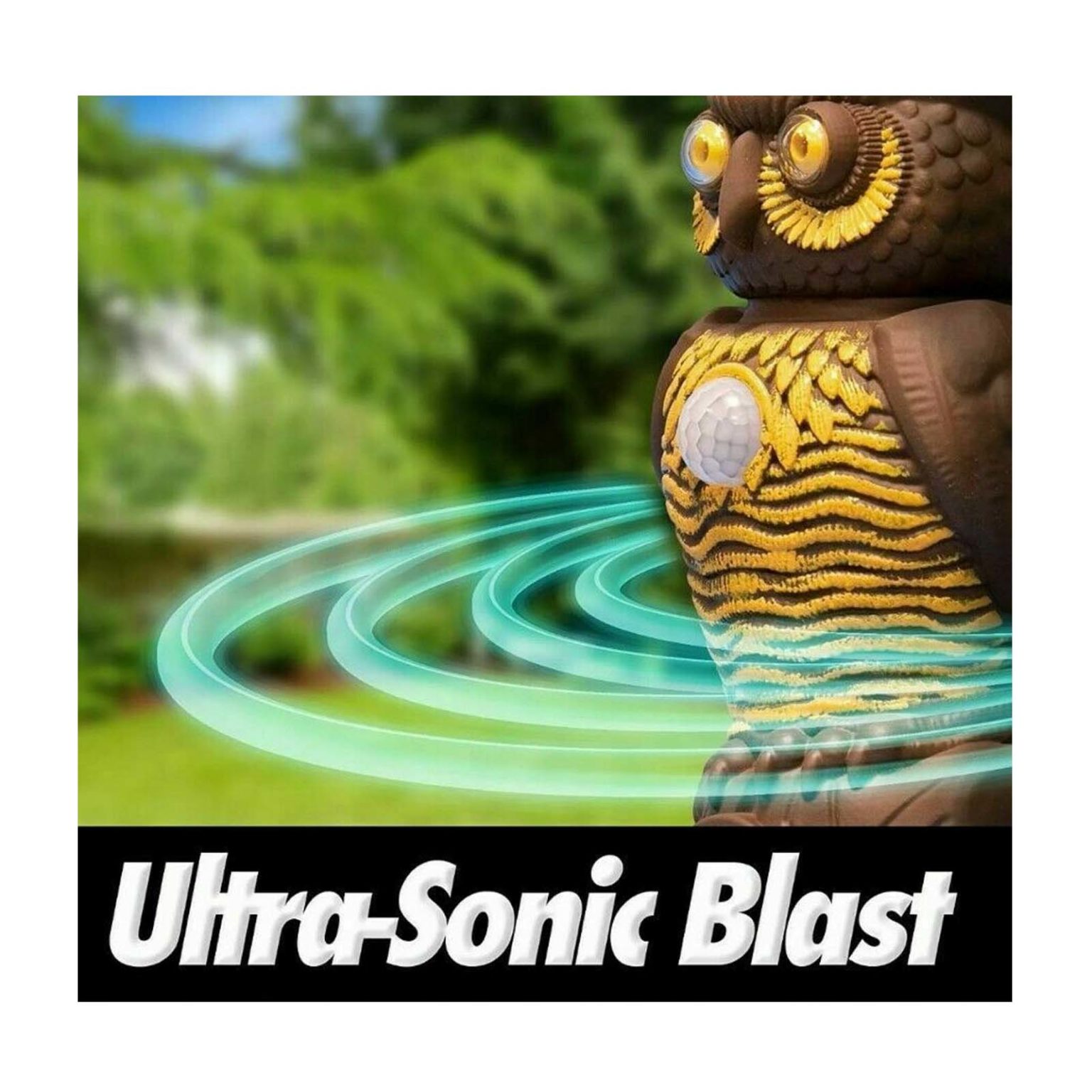 OWL ALERT Best Of As Seen On TV